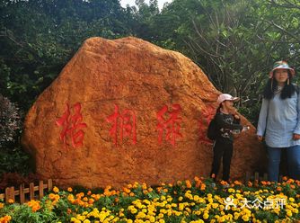 东湖梧桐绿道上的虫虫们