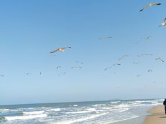 -那香海钻石沙滩浴场
