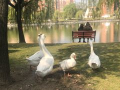 -中国计量大学(西校区)