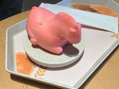 -tea'stone (万象天地店)