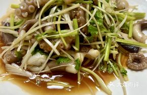 Scallion Oil Cuttlefish