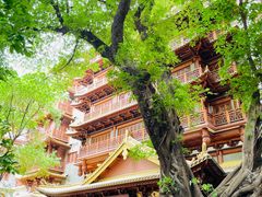 -大佛寺高级素食自助餐厅