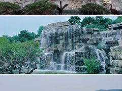 -北京西山国家森林公园