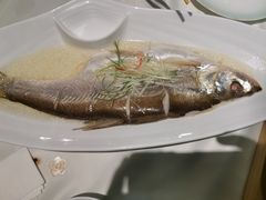 -绿杨春·淮扬宴(庐山路店)