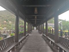 -徂徕山森林康养度假谷温泉