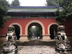 -灵谷景区