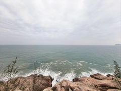 -广东惠东海龟国家级自然保护区