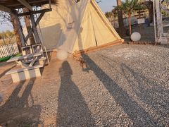 -安德鲁户外烧烤帐篷营地(马泉营店)