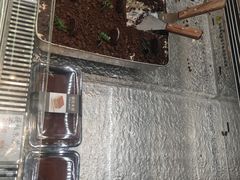 -小汪糕点(万达茂店)