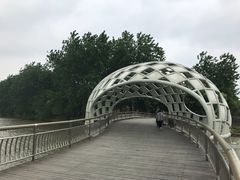 -同里国家湿地公园