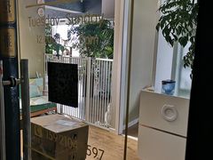 -东方名猫馆·英短金渐层布偶猫舍(环线广场1号楼店)