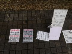 -人民公园-相亲角