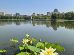 -莲花池公园