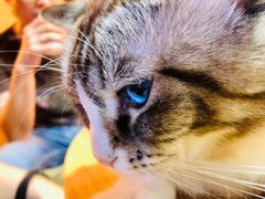 -白兔子密室(长寿路店)