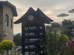 -江南天池