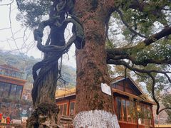 -缥缈峰景区