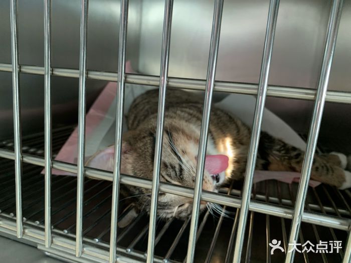乐宠动物医院图片