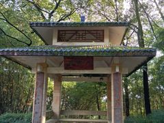 -南山植物园