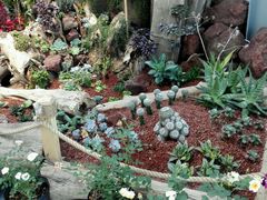 -南通洲际绿博园