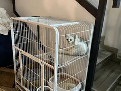 -她说户外烧烤团建(西湖店)