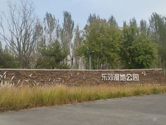 -东郊湿地公园