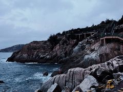 -广东惠东海龟国家级自然保护区
