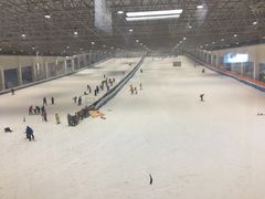 -绍兴启迪乔波冰雪世界