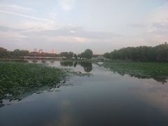 -长春市南湖公园