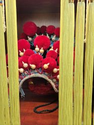 -胭脂猫京剧摄影