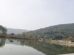 -龙寺生态园