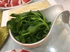 -友谊肥牛