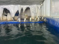 -太平洋海底世界