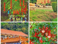 -深圳市中科院仙湖植物园