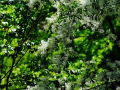 -国家植物园南园