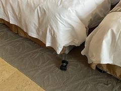 -天目湖御水温泉·度假酒店