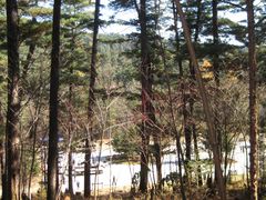 景点-五营红松林海景区