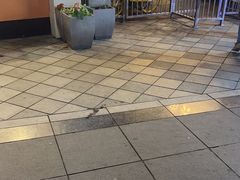-随园糕团(狮子桥店)