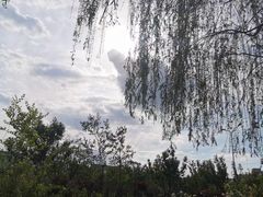 -睦南公园