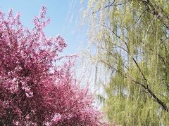 -西安浐灞国家湿地公园