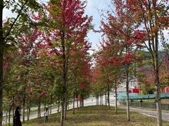 -九鼎铁刹山风景区