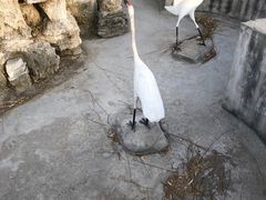 -兴芮温泉度假区