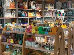 -奈斯宠物医院·核磁CT·异宠专科·内镜(中南店)