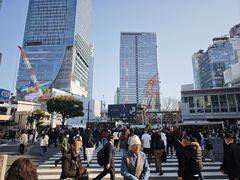 -涩谷区