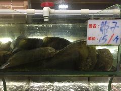 -覃记海鲜美食餐厅