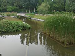 -大望京公园