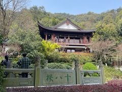 -十八棵（老龙井）御茶园(老龙井店)