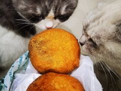 -老回回饺子馆(海洋馆店)