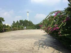 -华南师范大学(广州大学城校区)