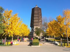 -玲珑塔公园