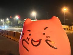 -海底捞火锅(正大乐城店)